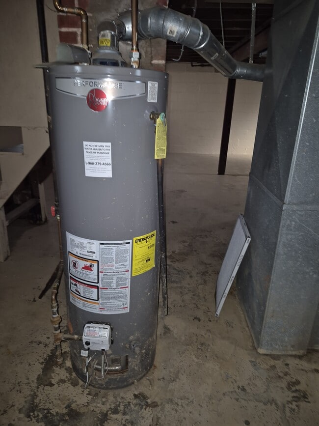 Building Photo - 429 Shirley Ave