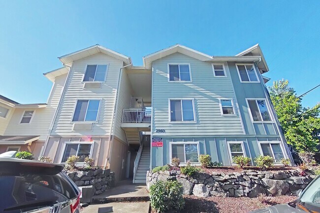 Primary Photo - 1 Bedroom Apartment ~ Close to Campus
