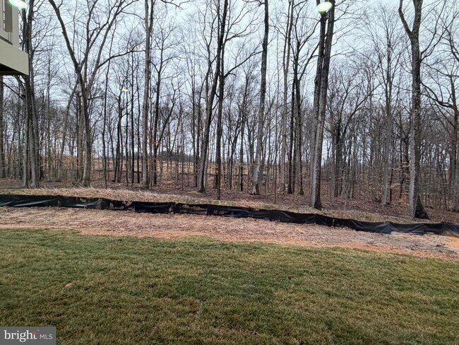 Building Photo - 9331 Klamath Ct