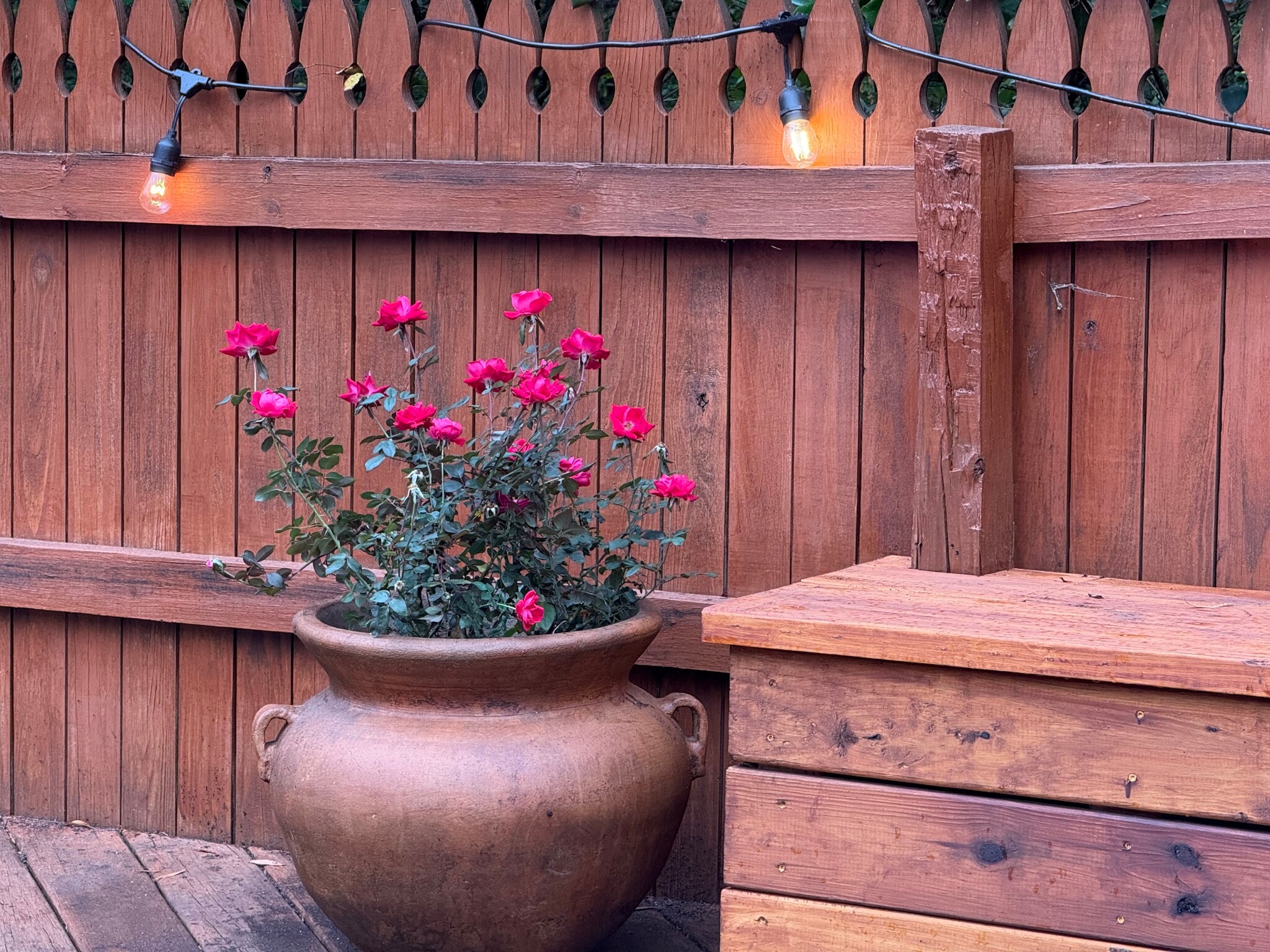 Building Photo - 1011 Lake Shore Dr