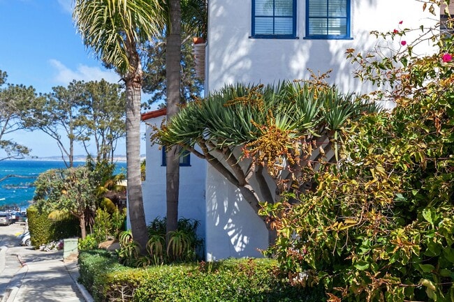 Building Photo - Charming comfy Studio in La Jolla Village!