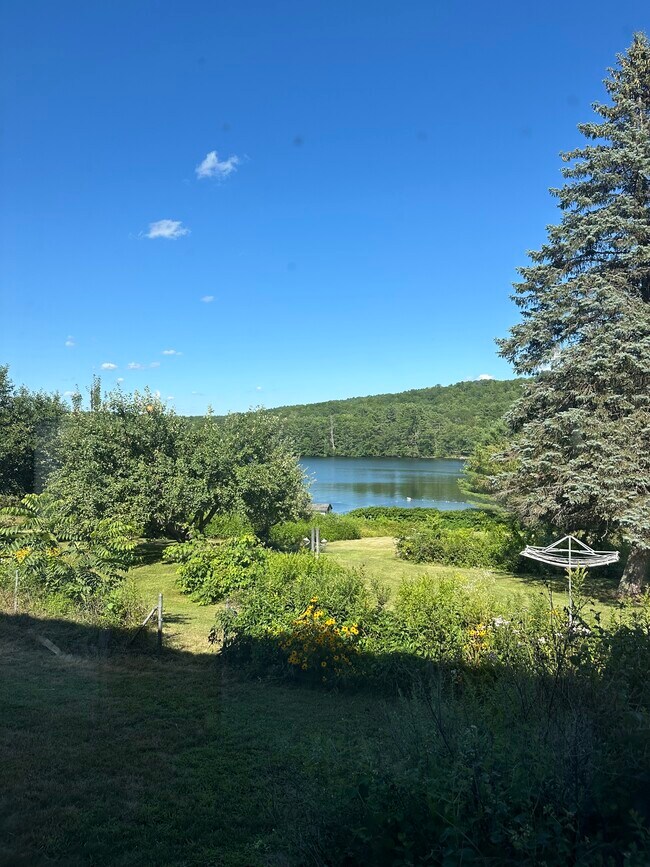 Building Photo - 967 Meadow Rd