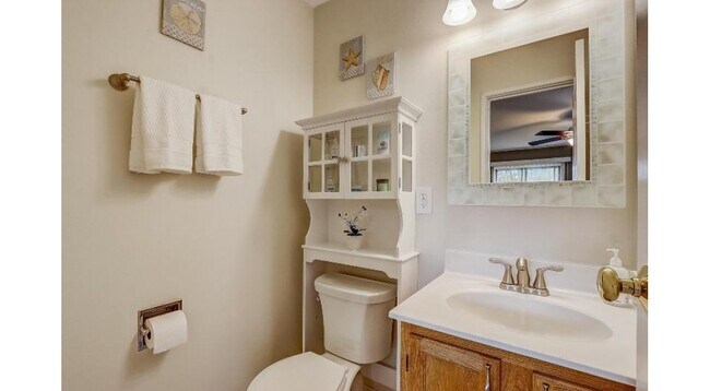 Master suite half-bath - 157 Linden Ln