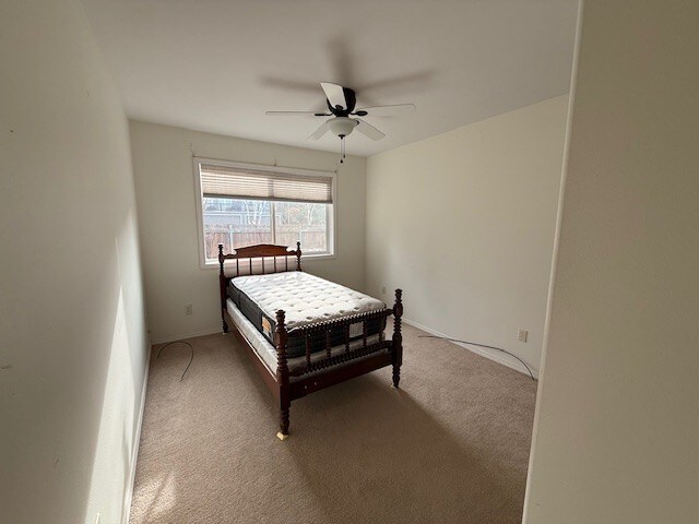 Building Photo - 215 Fox Hollow Ln