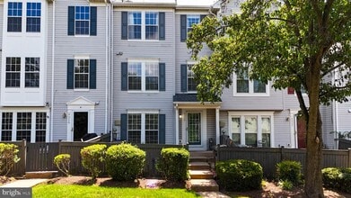 Building Photo - 9320 Fringe Tree Ln