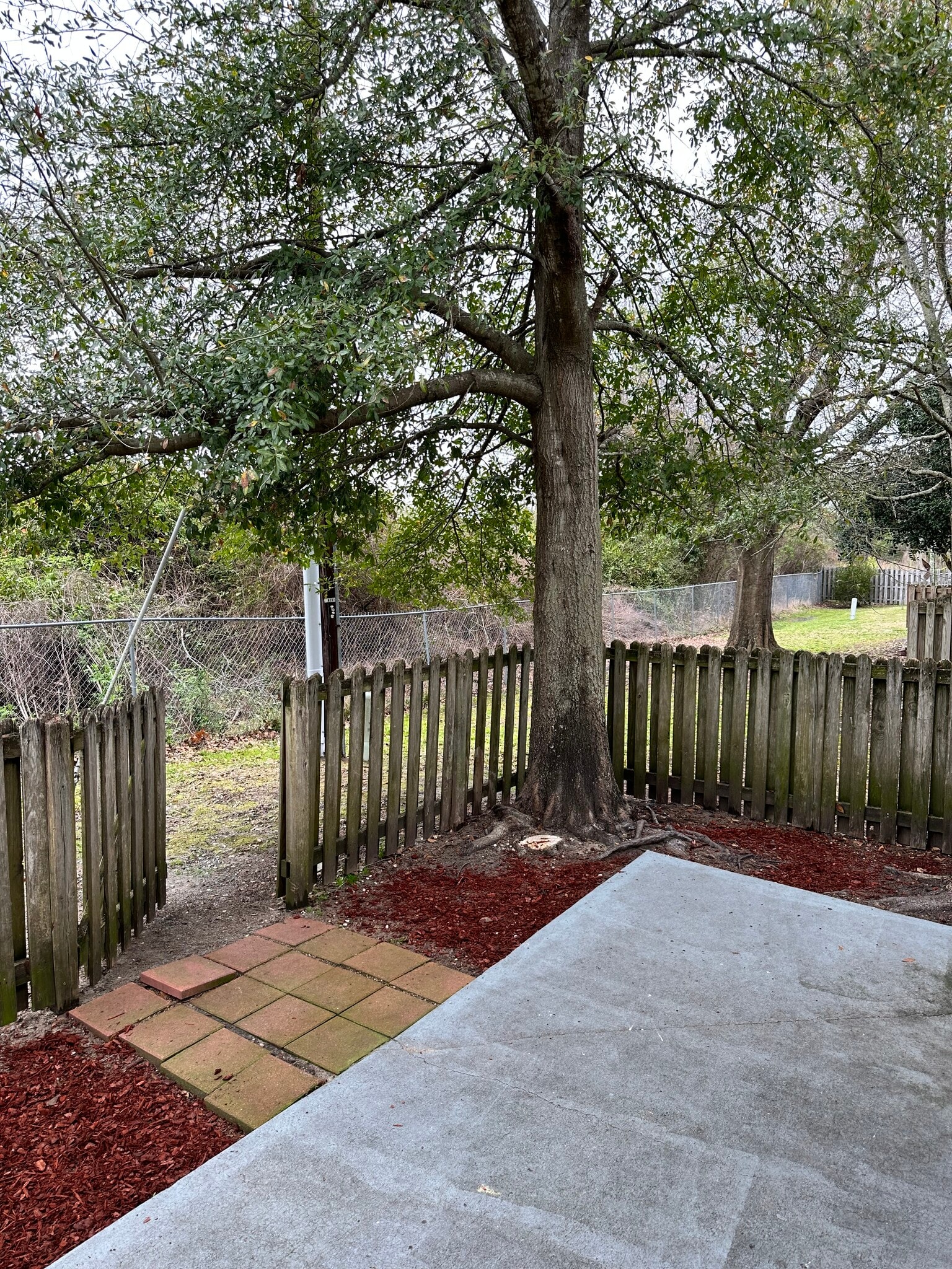 Patio - 106 Lullwater Dr