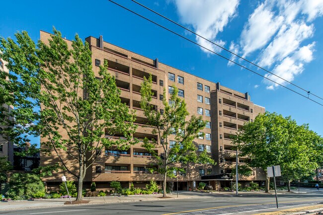 Building Photo - 56A Hawes St