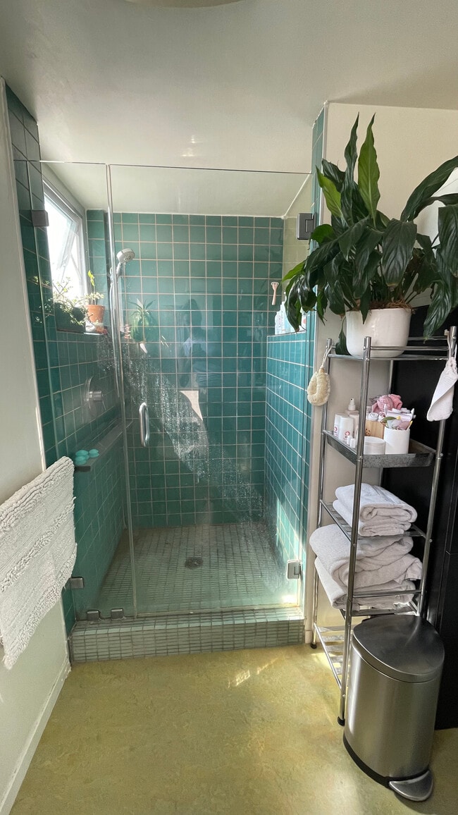 shower - 872 Hanley Ave