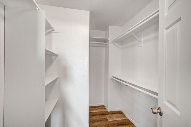 Building Photo - Stunning 4 Bed 2.5 Bath!
