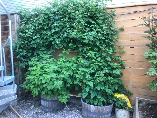 Building Photo - 4118 SW View Point Ter