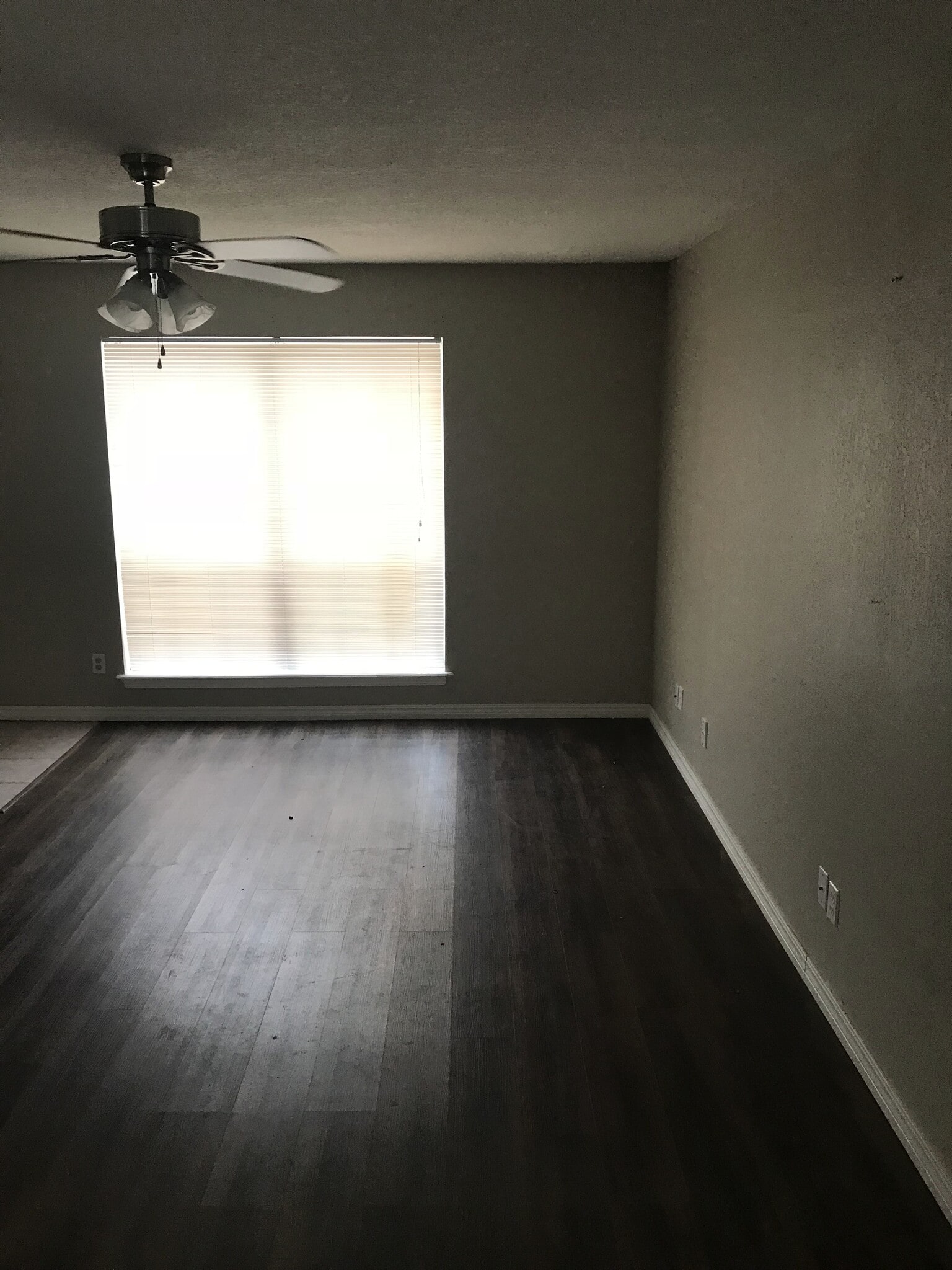 Building Photo - 825 Hardy Springs Cir