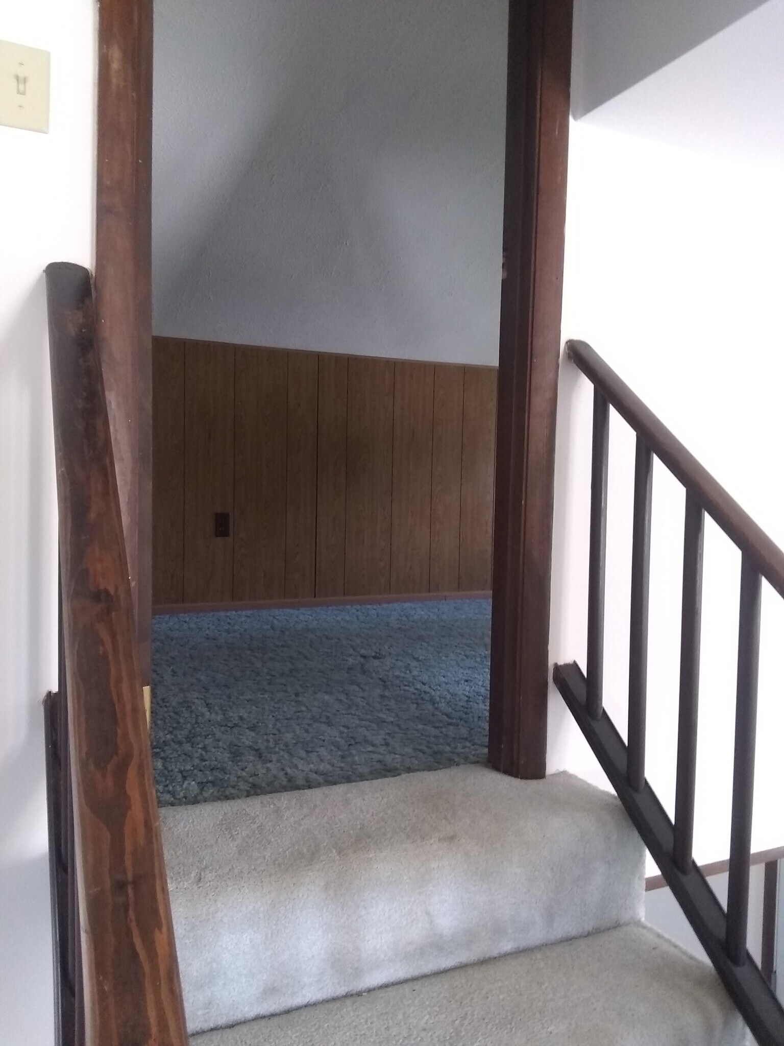 Entry to bonus room - 1100 Rahill Ct