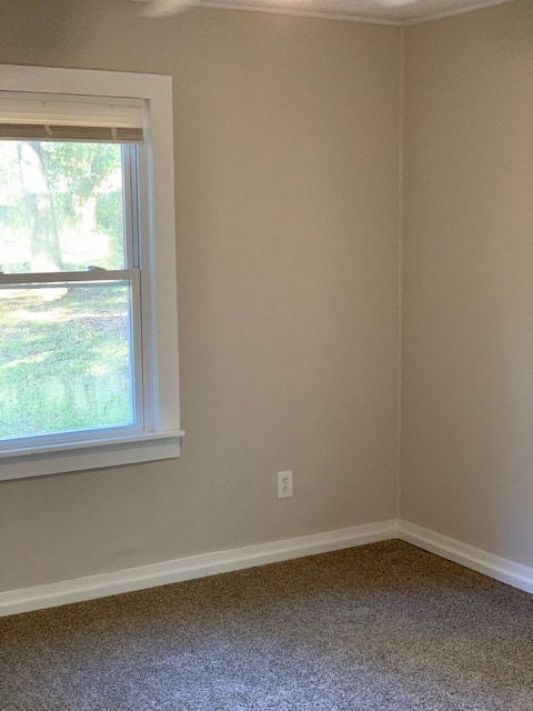 Building Photo - 905 Pansy Ct