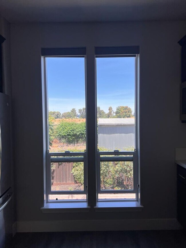 Building Photo - 1010 Mud Pie Ln