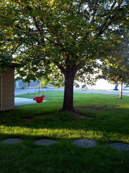 backyard area - 479 White Cloud Dr