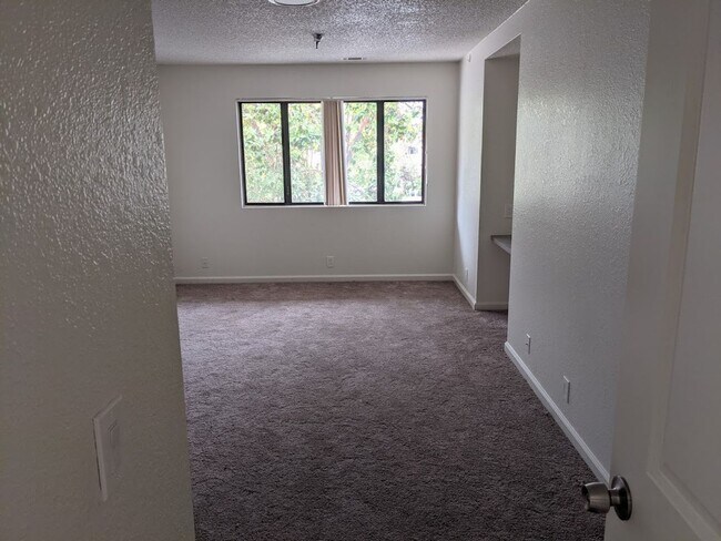 Building Photo - 55 Stenner St