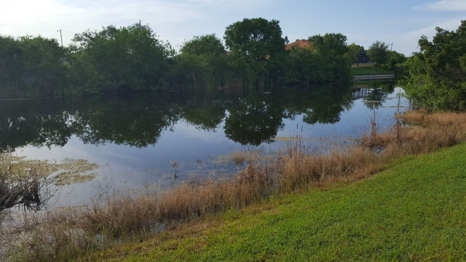Building Photo - Coming early July ! Gorgeous home overlooking lake