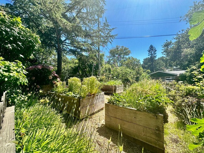 Building Photo - Woodside Classic 3 Bedroom on Beautiful Park Like Yard