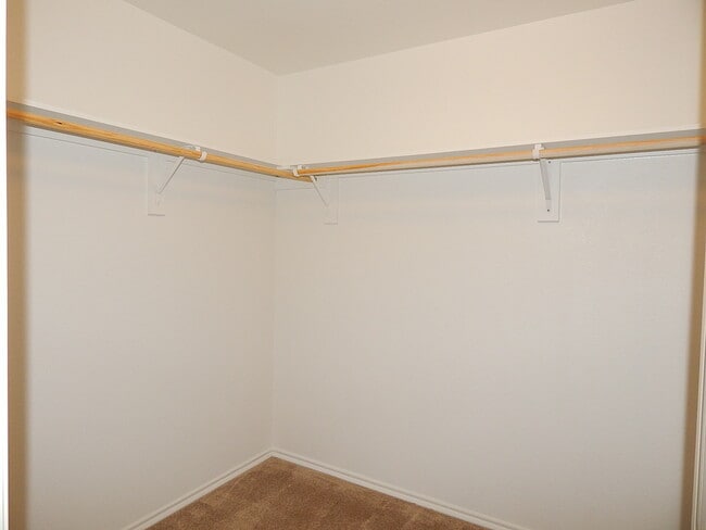 Building Photo - Beautiful 4 Bedroom Available in The Verandah