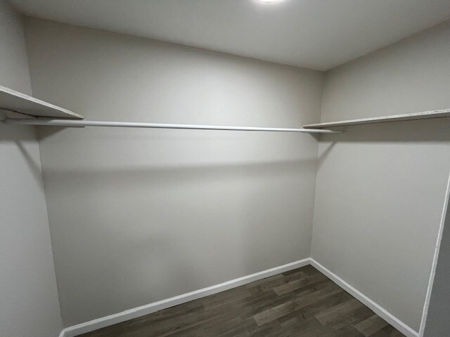 Building Photo - 1155 Hartley St