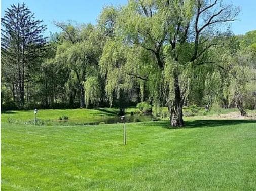 Building Photo - 777 Armonk Rd
