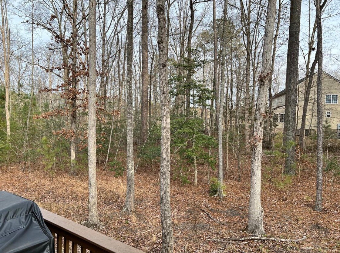 Building Photo - 4007 Island Park Ct