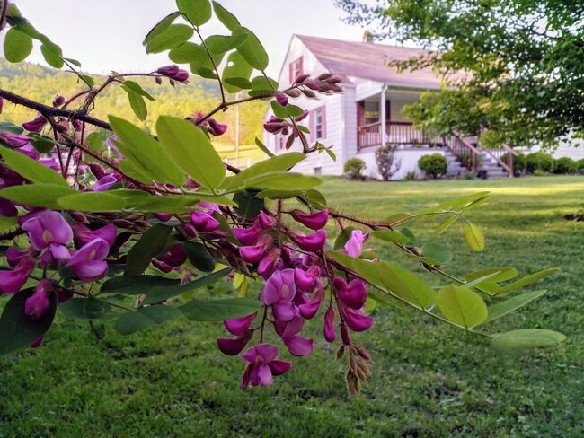 Building Photo - Quaint Country Cottage On Large Lot Near D...