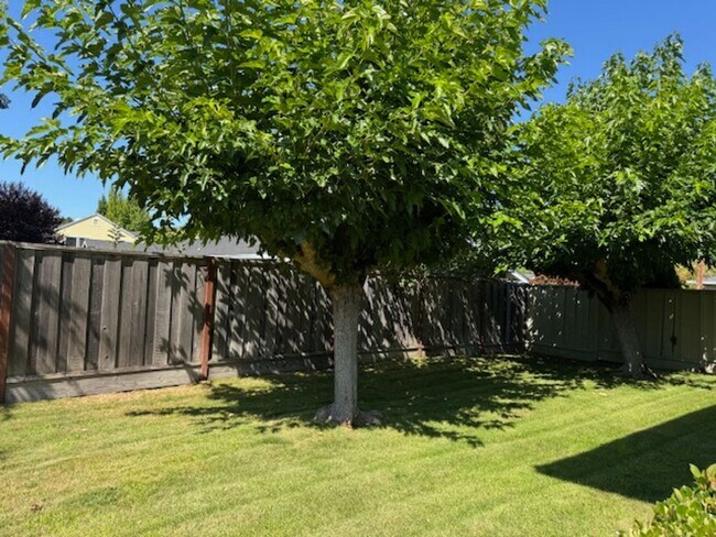 Building Photo - 4 bedroom Moraga home is now available for...