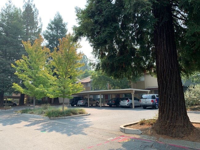 Building Photo - Adorable 3 Bed 1.5 Bath Covell Commons Condo ( fall Rental )