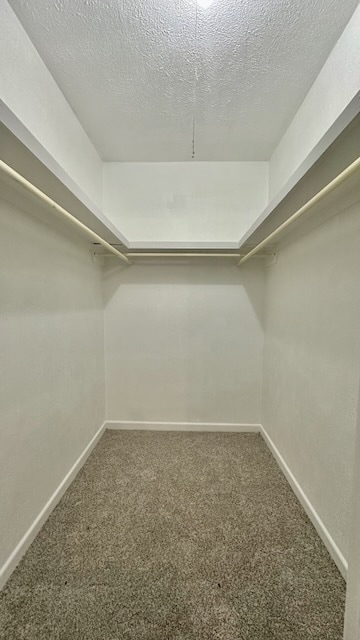 Building Photo - 3516 47th St