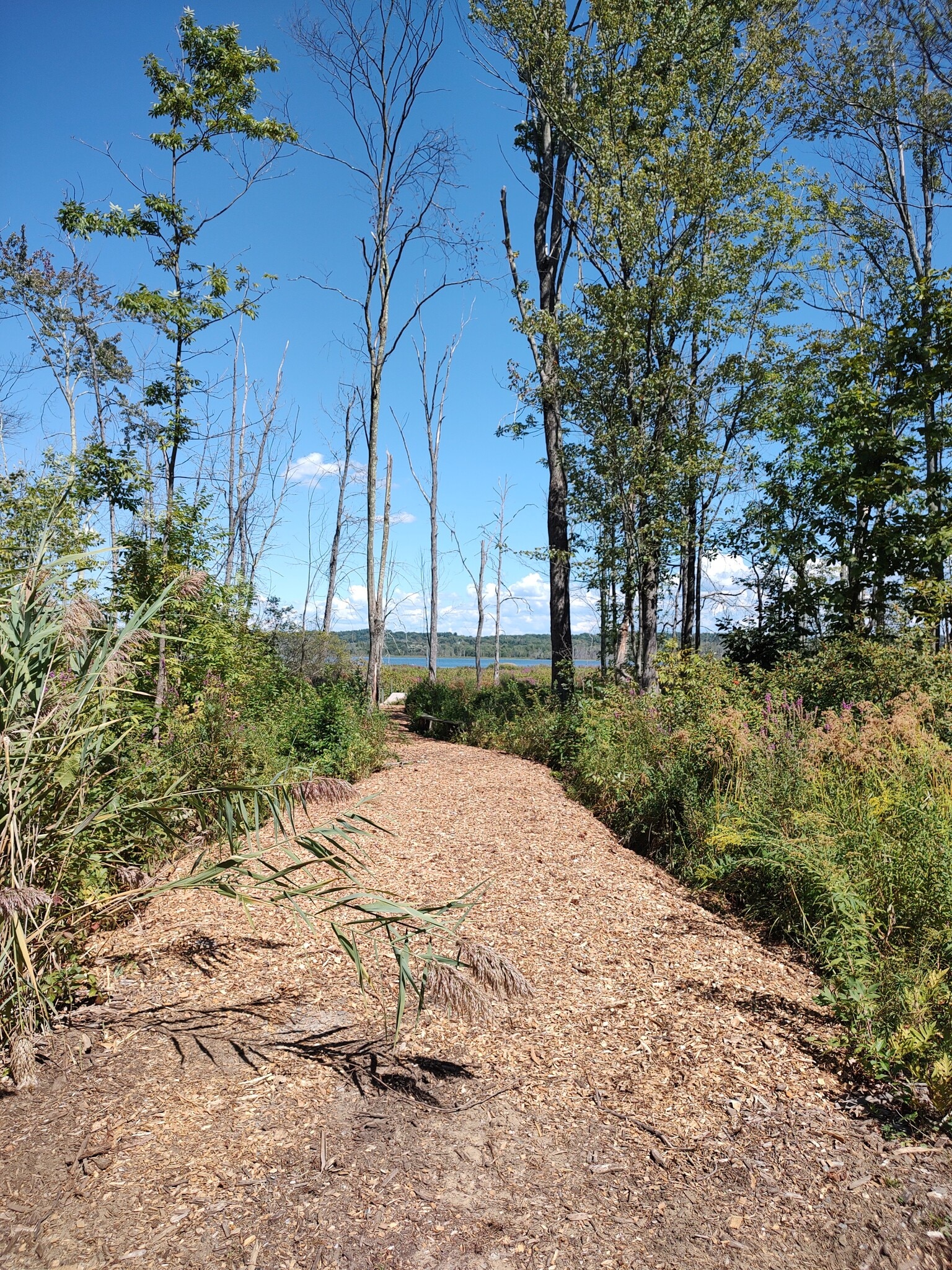 Lake view - 2125 US-9