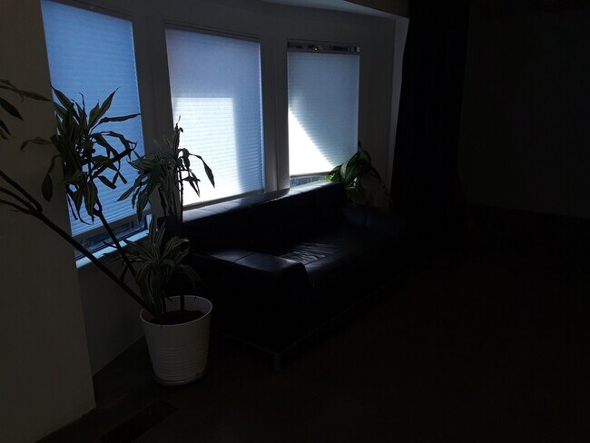 Living Area - 2222 Main St