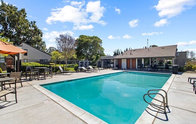 Building Photo - Laurel Tree