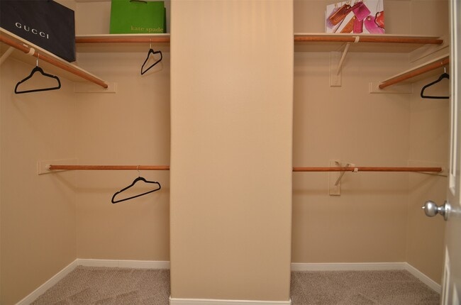 Building Photo - 2911 Meadowglen Cove