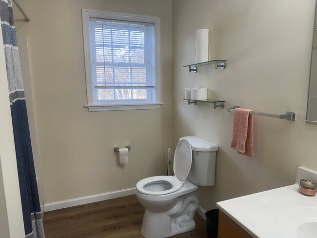 Upstairs Bath 1 - 209 Wilmer St