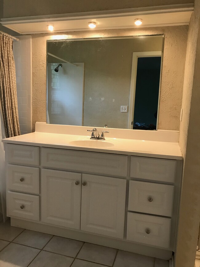 Master bedroom bath. - 107 Swanton Hill Ct