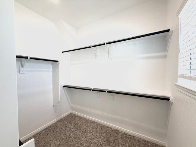 Building Photo - 159 W Coralburst Lp