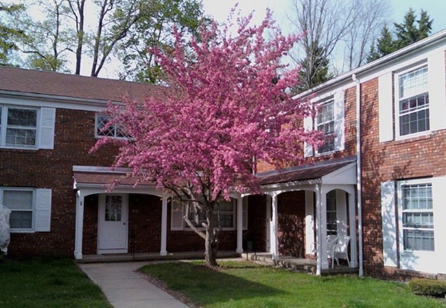 Courtyard - Woodruff Court Apartment Homes