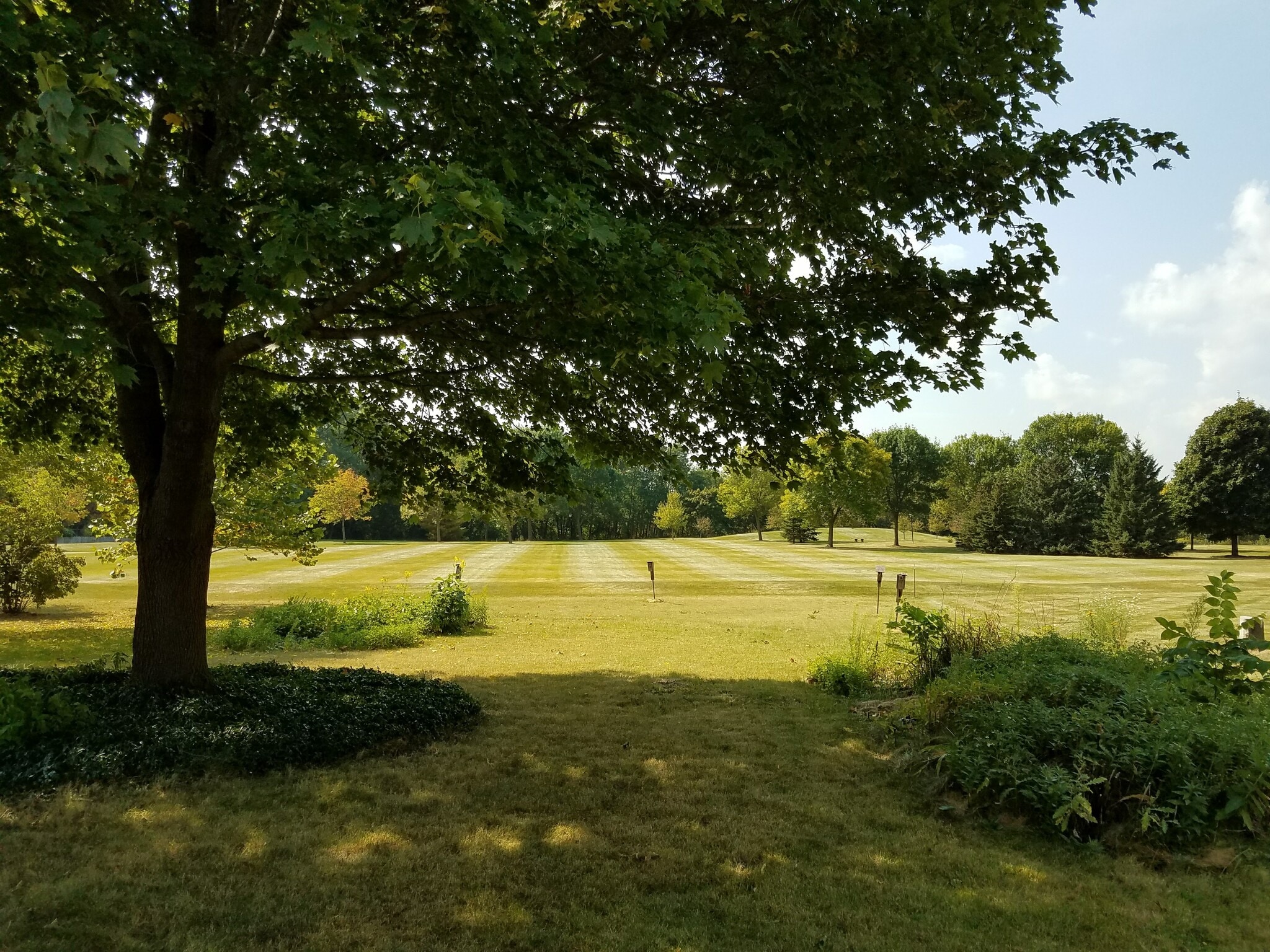 Backyard - 1010 N Gammon Rd