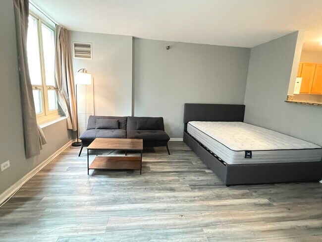 Building Photo - 345 N La Salle Dr