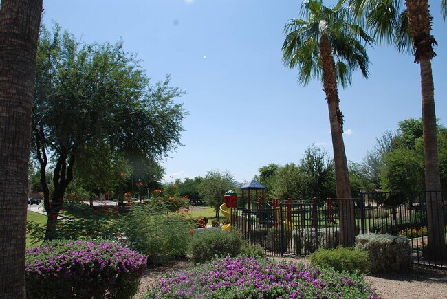 Building Photo - Beautiful Tolleson Home