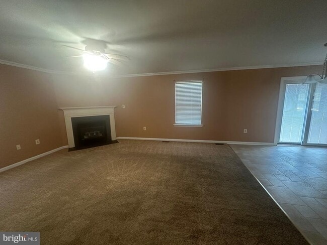 Building Photo - 3877 Shiner Ct