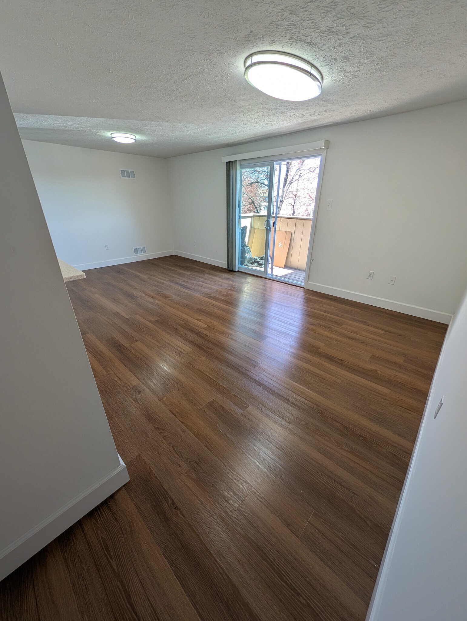 Living room and dining room - 19609 Gunners Branch Rd