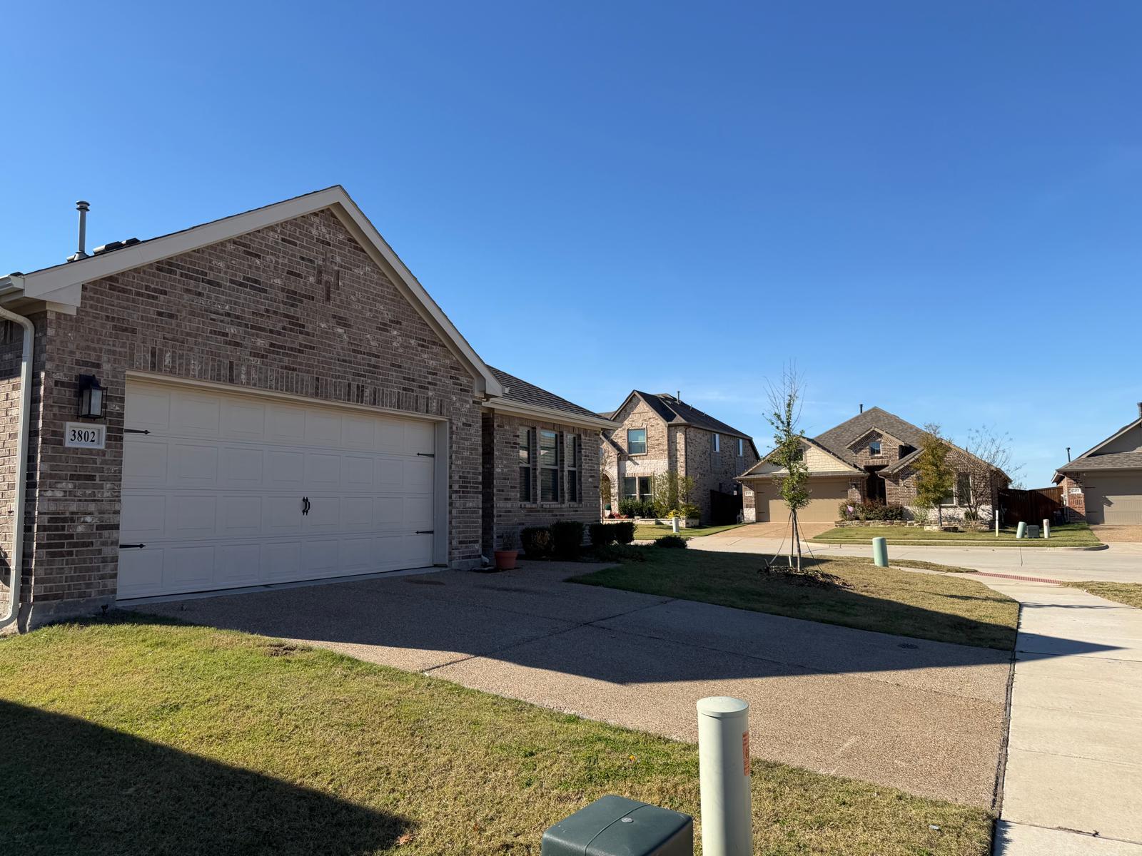 Building Photo - 3802 Chicory Ct