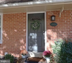 Building Photo - 8914 Shamrock Ct