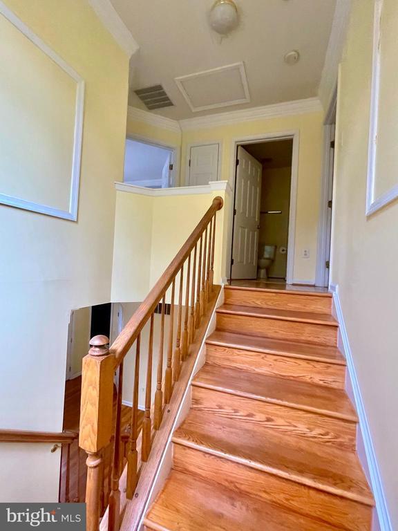 Building Photo - 6101 Newport Terrace