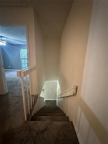 Building Photo - 3936 Brandon Park Dr