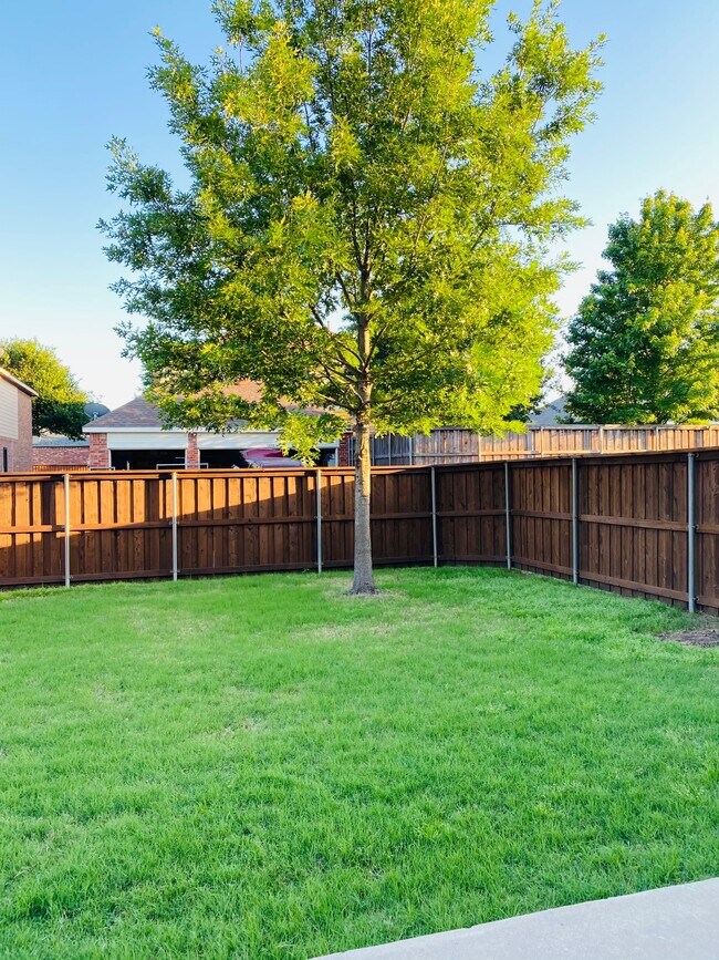 Backyard - 1895 Granite Rapids Dr
