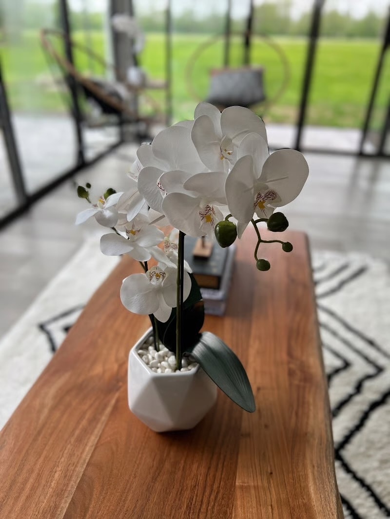 Sunroom - 1344 Pinnacle Rd