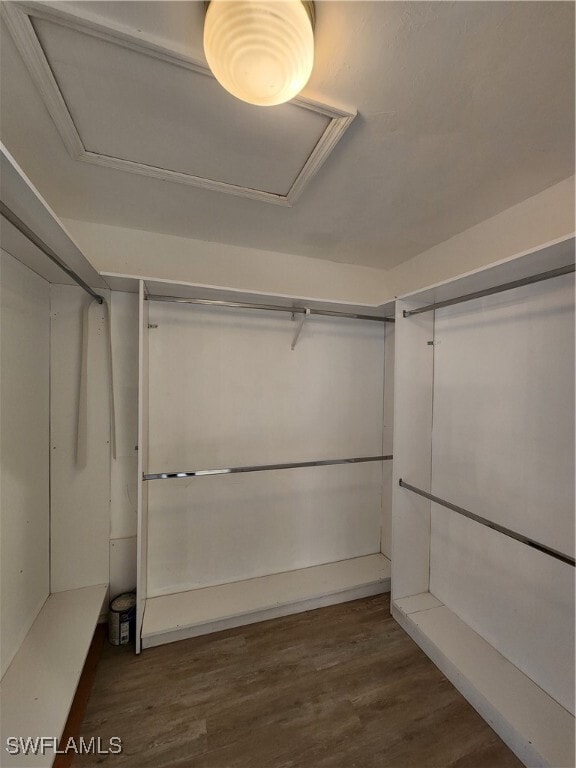 Building Photo - 12796 Vista Pine Cir